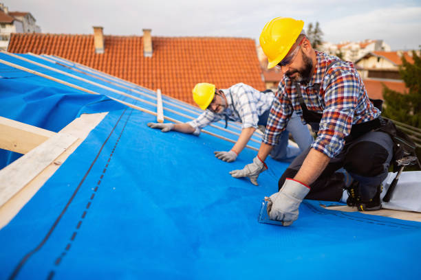 Best Metal Roofing Installation  in New Brighton, PA
