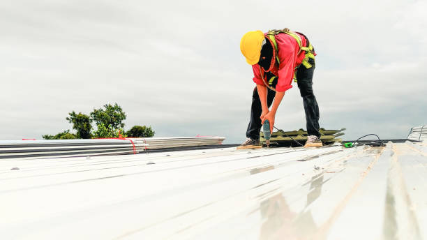 Best Roof Moss and Algae Removal  in New Brighton, PA