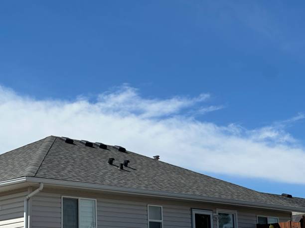 Best Metal Roofing Installation  in New Brighton, PA